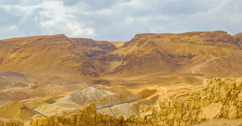 מה הופך את הסדנה הזו למיוחדת