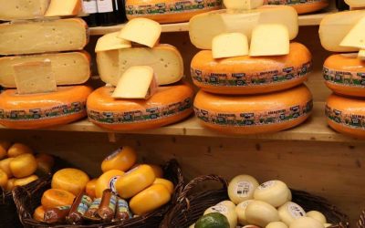 dutch cheese museum alkmaar